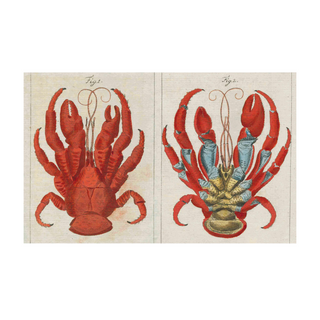 John Derian Picture Book