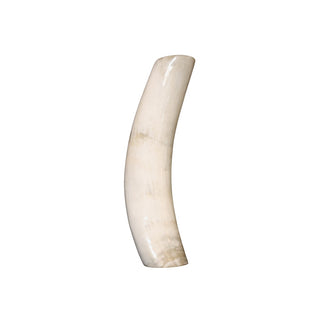 Horn Vase (Large)