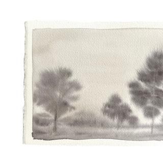 "The Land" by Christen Colvert