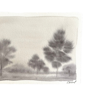 "The Land" by Christen Colvert