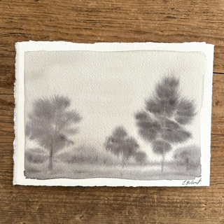 "The Land" by Christen Colvert