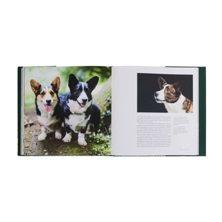 Country Life's Book of Dogs