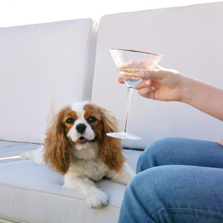 Aperitivo Gold Rim Triangular Martini Glass