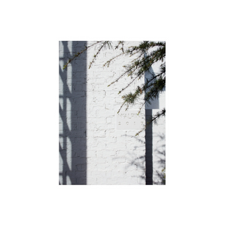 McAlpine: Romantic Modernism