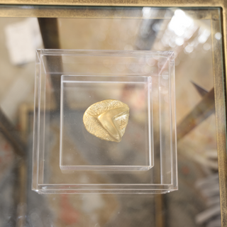 "Artifact on Acrylic" by Laura Clark
