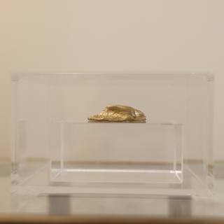 "Artifact on Acrylic" by Laura Clark
