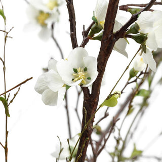 Quince Blossom & Twig in Glass Vase
