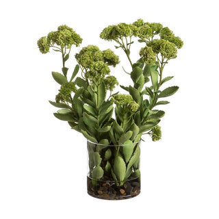 Sedum with Rocks in Glass Vase
