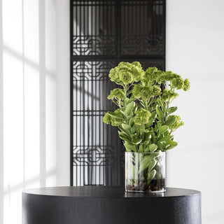Sedum with Rocks in Glass Vase
