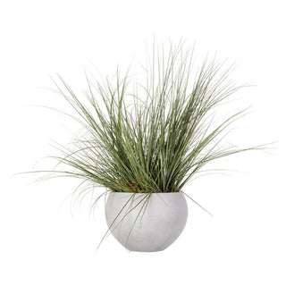 Wild Grass in Cement Pot
