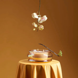 Gabrielle Gold Madagascar Candle (Small)
