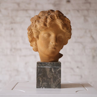Early 19th Century French Terracotta Bust with Marble Base
