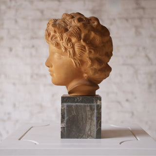 Early 19th Century French Terracotta Bust with Marble Base

