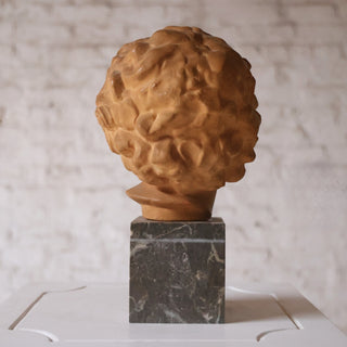 Early 19th Century French Terracotta Bust with Marble Base
