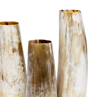 Aiden Vase (Set of 3)
