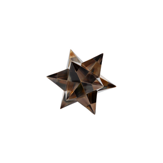 Stellated Dodecahedron
