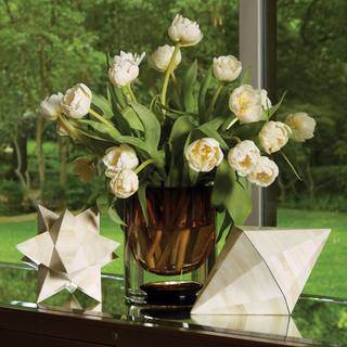 Stellated Dodecahedron
