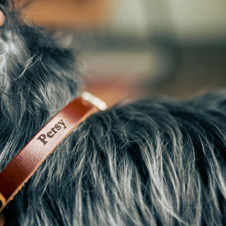 Leather AirTag Dog Collar (Cinnamon, Medium) by Rustico
