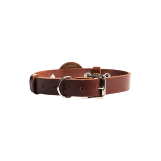 Leather AirTag Dog Collar (Cinnamon, Large) by Rustico

