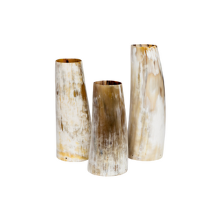Aiden Vase (Set of 3)
