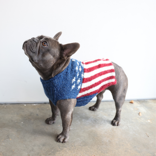 Hand Knit Flag Dog Sweater (Small)
