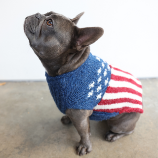 Hand Knit Flag Dog Sweater (Small)

