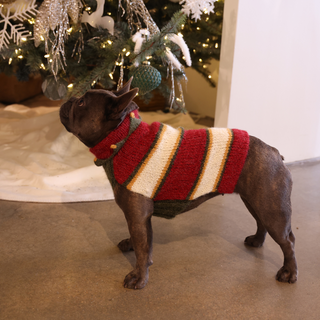 Holiday Handmade Dog Sweater (Small)
