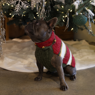 Holiday Handmade Dog Sweater (Medium)
