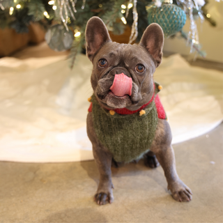 Holiday Handmade Dog Sweater (Small)

