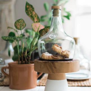 Demijohn Cloche (Small)
