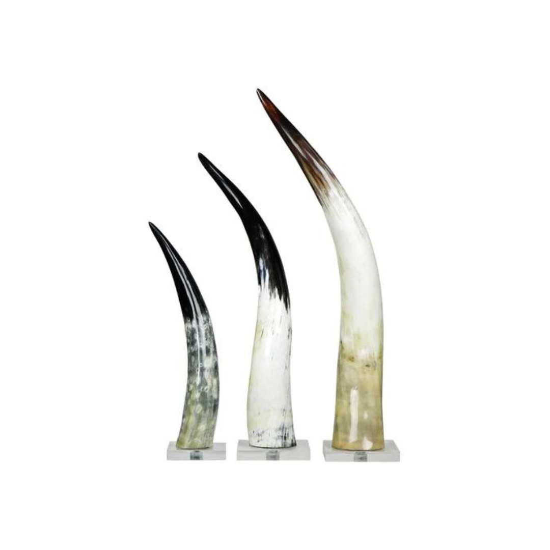 Christopher Collection Cow Horn on Base - Thumbnail 2