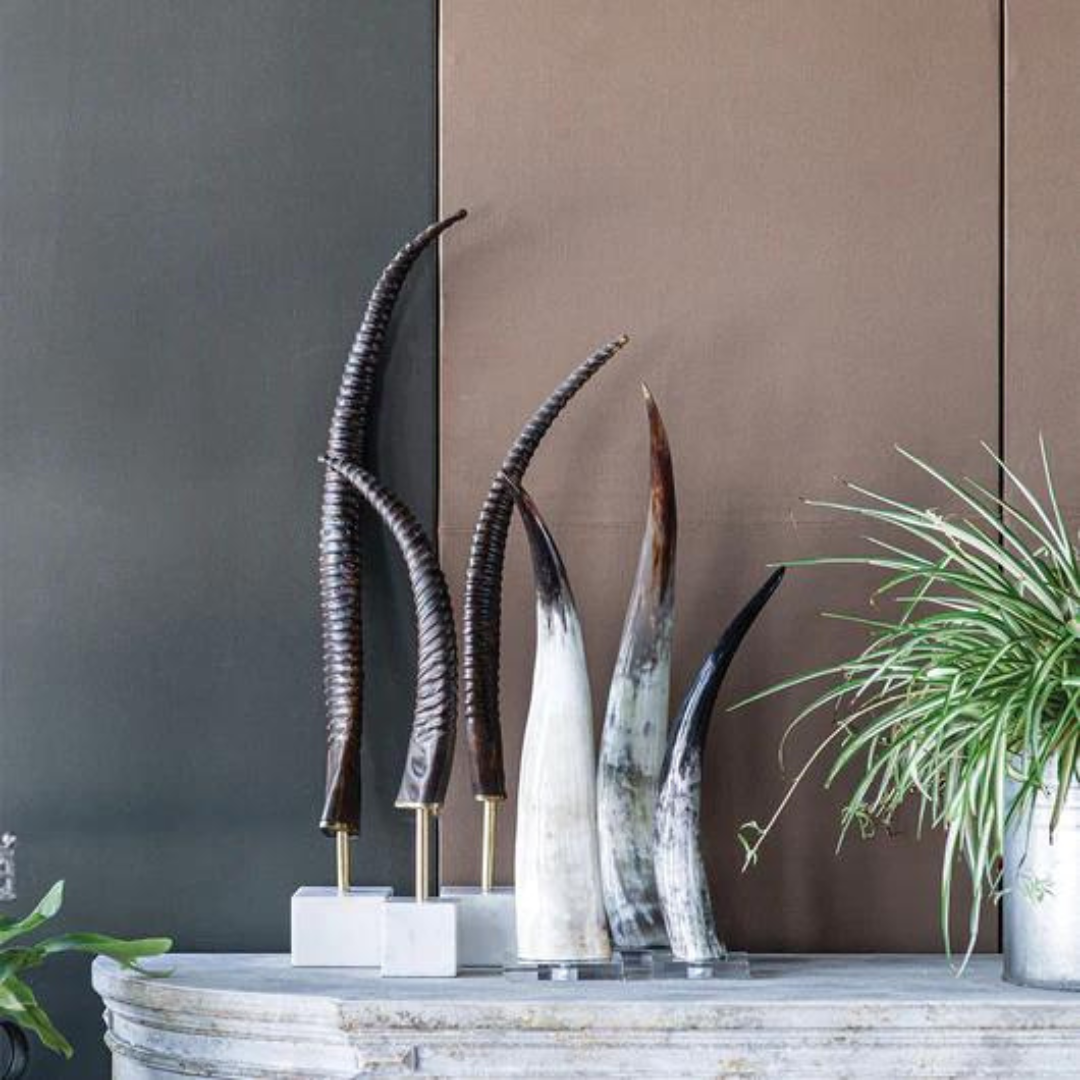 Cow Horn on Base (Medium) - Thumbnail 2