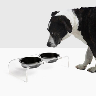 Double Pet Bowl Feeder
