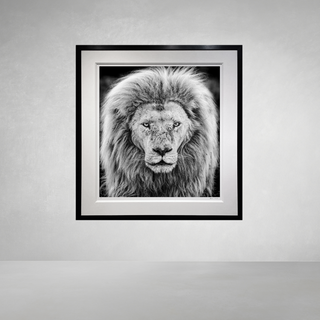 Gandalf by David Yarrow
