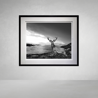 Over the Sea to Skye by David Yarrow
