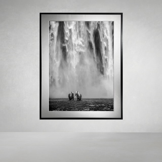 The Dream by David Yarrow
