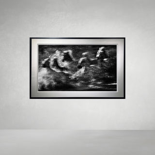 White Rush by David Yarrow
