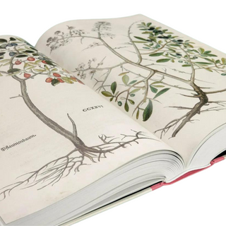 Leonhart Fuchs. The New Herbal (Set of 2)

