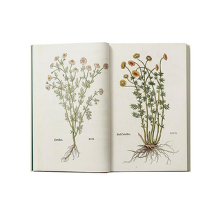 Leonhart Fuchs. The New Herbal (Set of 2)
