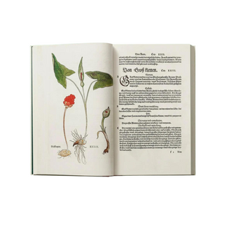 Leonhart Fuchs. The New Herbal (Set of 2)
