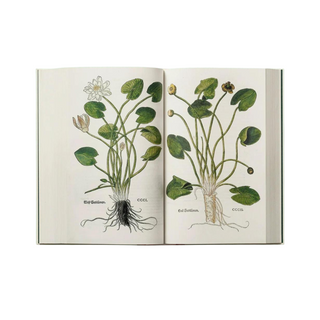 Leonhart Fuchs. The New Herbal (Set of 2)
