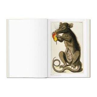 Seba. Cabinet of Natural Curiosities
