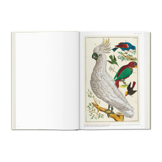 Seba. Cabinet of Natural Curiosities
