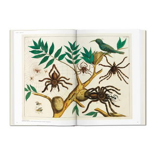 Seba. Cabinet of Natural Curiosities
