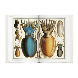 Seba. Cabinet of Natural Curiosities
