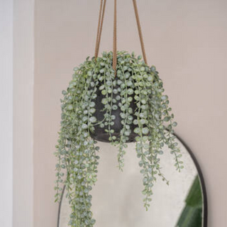 Charlie Hanging Pot (XS)
