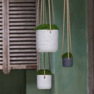 Charlie Hanging Pot (Medium)
