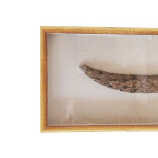 1700s Custom Framed Carved Wood Art
