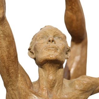 Soar, Half Life by Paige Bradley
