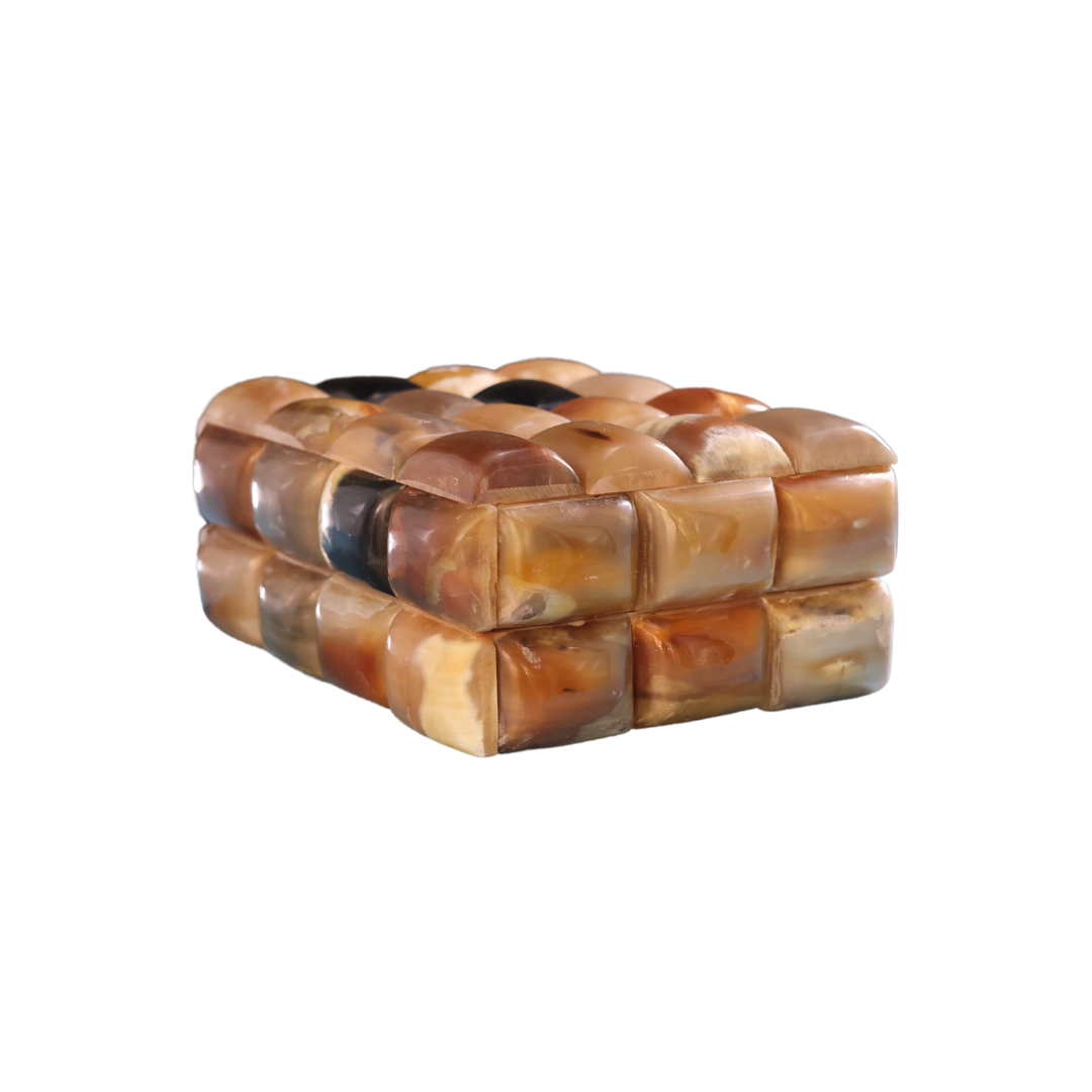 3-D Horn Box (Large)